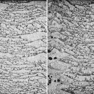 Light Optical Micrographs Of Transverse Cross Sections Of As Printed