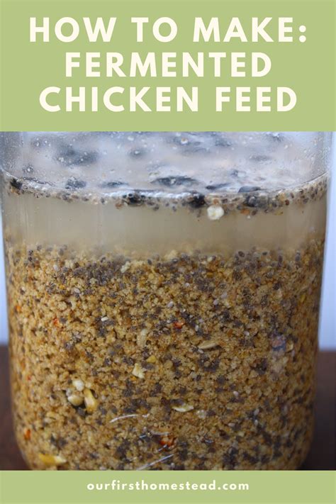 How To Make Fermented Chicken Feed Chicken Feed Homemade Cough