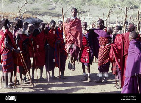 Massai Dance Hi Res Stock Photography And Images Alamy