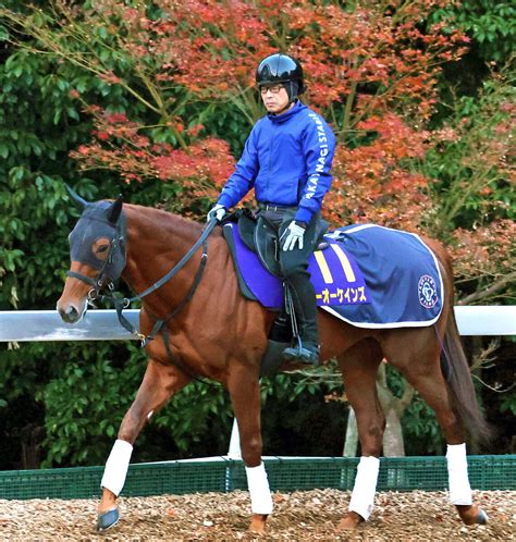 日曜メインレースの注目激走馬中京11rチャンピオンズカップ・g1 スポーツ報知