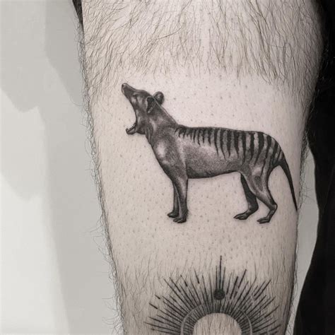 Mikey Brannon On Instagram Tasmanian Tiger 🥺