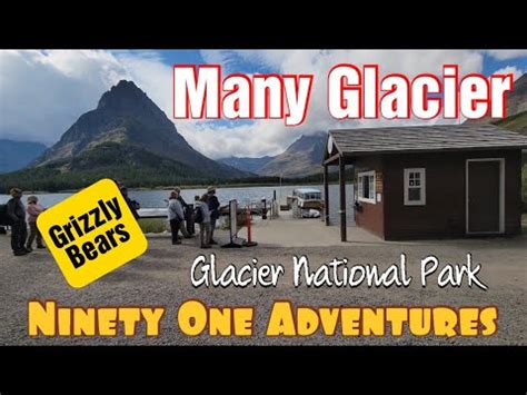 Many Glacier Boat Tour And Hike Glacier National Park Grizzly Bear