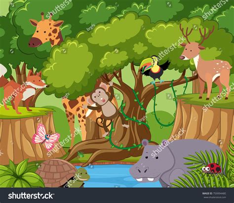 Wild Animals Live Forest Illustration Stock Vector (Royalty Free) 759994480 | Shutterstock