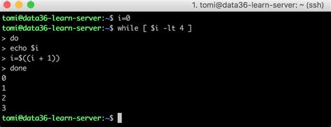 Variables If Statements And While Loops In Bash Data Coding 101