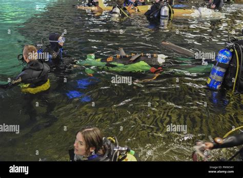 Third Day Of The International Human Powered Submarine Races In The David Taylor Model Basin At