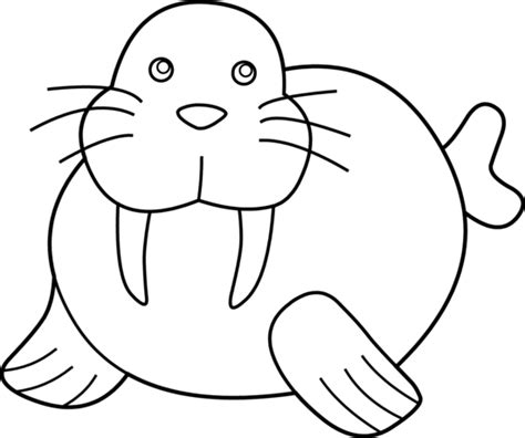 Cute Walrus Coloring Page - Free Clip Art