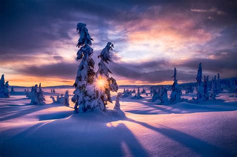 Sunlight Landscape Sunset Night Reflection Sky Snow Winter