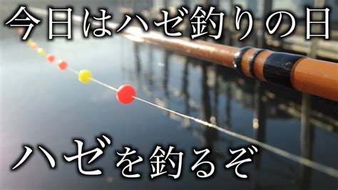 ハゼ釣り 「とりあえず羽田まで」japanese Goby Fishing Youtube