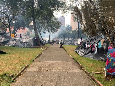 Más De 1 300 Indígenas Cumplen 12 Días Asentados En El Parque Nacional