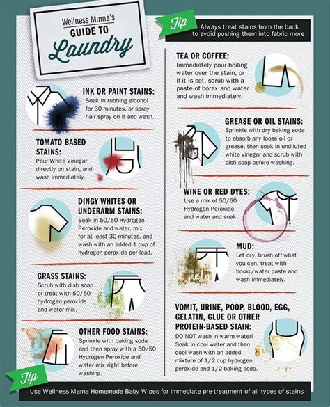 A Cool Guide to Natural Stain Removal : r/coolguides