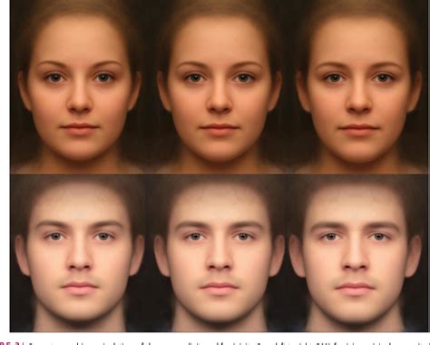 Figure 3 From Facial Attractiveness Semantic Scholar