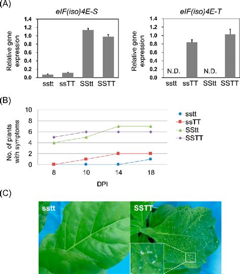 Reduced Susceptibility Of Eif Iso E Mutants Tsukuba Background