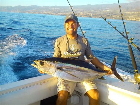 Quick Guide Albacore Vs Yellowfin Tuna Toms Catch Blog