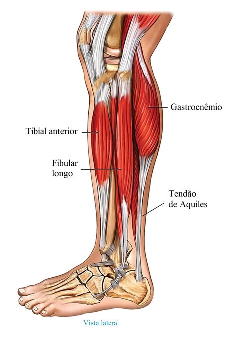 Dor Na Panturrilha Esquerda Ou Direita As Principais Causas