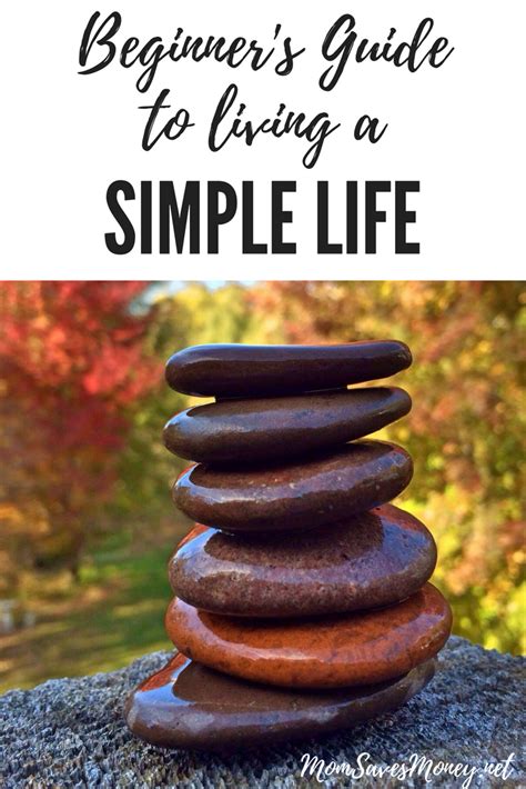 Beginner S Guide To Living A Simple Life Mom Saves Money