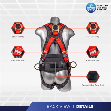 Buy Palmer Safety Hammerhead Pt Safety Harness Back Padded Qcb Chest