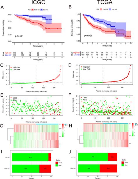 Prognostic Value And External Validation Of Hypoxia Genes A K M Curves