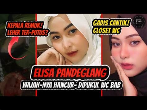 Kr Nologi Elisa Siti Mulyani Closet Wc Viral K Pala H Ncur