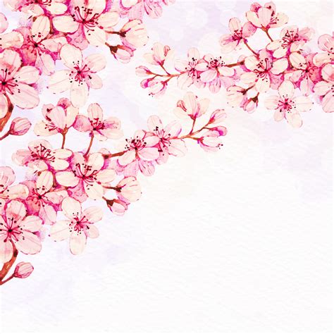 Cherry Blossom 517672 Vector Art at Vecteezy