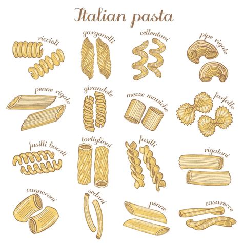 Premium Vector Vector Set Of Colored Hand Drawn Different Pasta Shapes