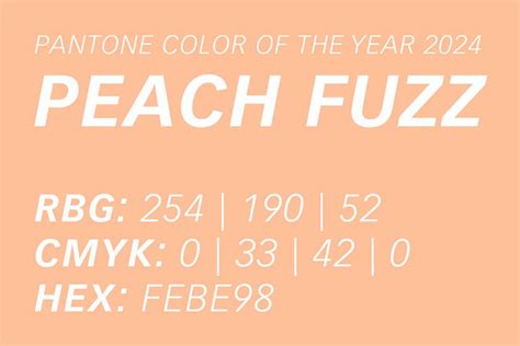 Pantone Farbe Des Jahres 2024 Peach Fuzz