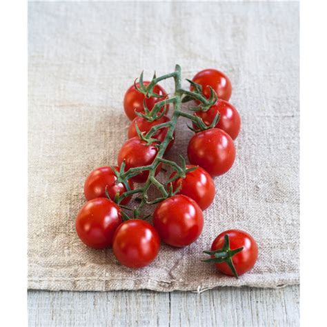 Nektar Cherry Tomate Solena Red F Solanum Lycopersicum