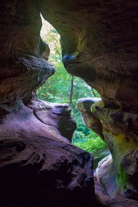 Cave Opening To Lush Forest Stock Photo - Image of forest, borneo ...