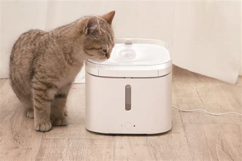 Xiaomi Smart Pet Fountain - обзор автоматической поилки для кошек