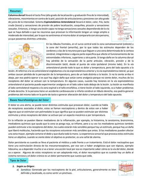 Solution Fisiologia Del Dolor Y Sistema Nervioso Parasimpatico Studypool