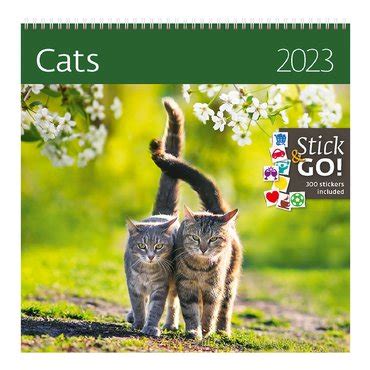 Koop Uw Kalender Helma X Cm Katten Bij Petdirect Nl