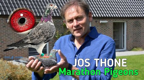 JOS THONE Marathon Distance Bloodline Is Mainly Built On The World