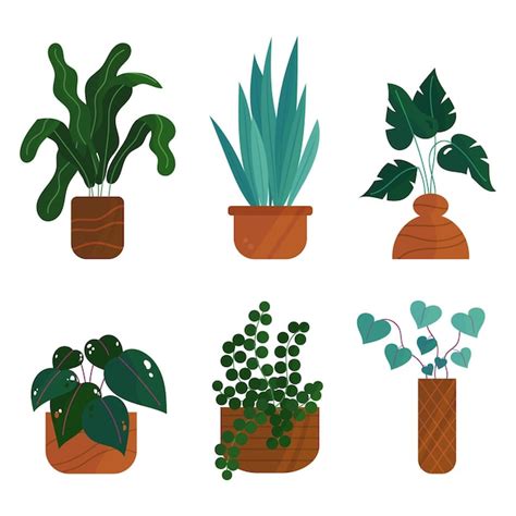 Cole O De Plantas De Casa Planas Org Nicas Vetor Gr Tis