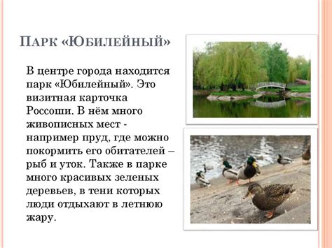 Природные уголки города Россоши - презентация онлайн