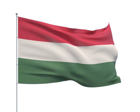 Cờ Hungary Bức ảnh Bức ảnh Bức Hình And Hình ảnh Sẵn Có Trả Phí Bản