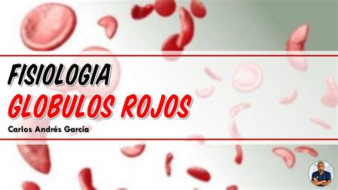 Fisiología Glóbulos Rojos Hemoglobina Hierro Dr Carlos Andrés García