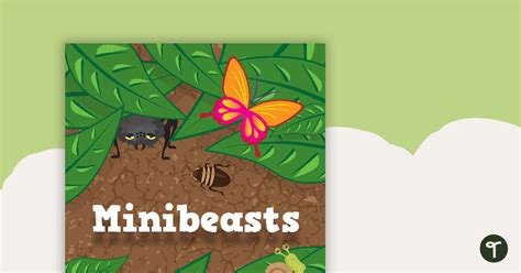 Minibeasts Title Poster Teach Starter