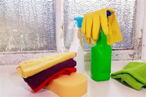 Effective Black Mold Removal Options for Your Home | MYMOVE