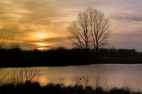 Fotos Gratis Paisaje Rbol Naturaleza Pantano Nube Amanecer