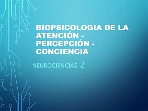 Neurociencias Exposicion Ppt