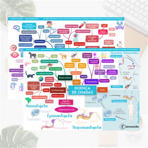 Mapa Mental Doença de Chagas