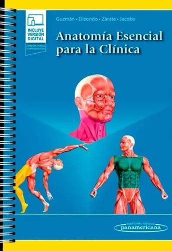 Guzmán Anatomía Esencial Para La Clínica 1era Ed Envío gratis