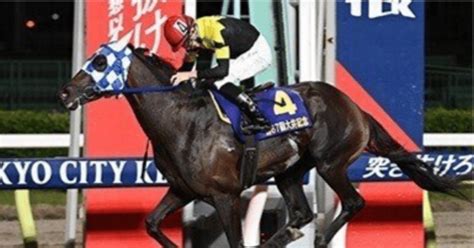 全レース的中🎯中央競馬 中山競馬予想6レース～ 2024929｜ひまわり厨フォロバ100％