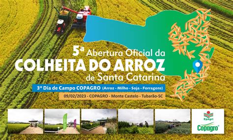 Abertura Oficial Da Colheita Do Arroz Em Santa Catarina Acontecer Em