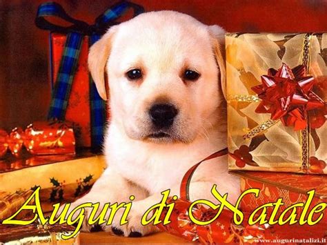 Immagine Tanti Auguri di Natale - Tanti Auguri di Natale