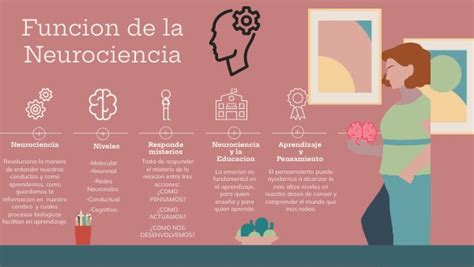 Funciones De La Neurociencia