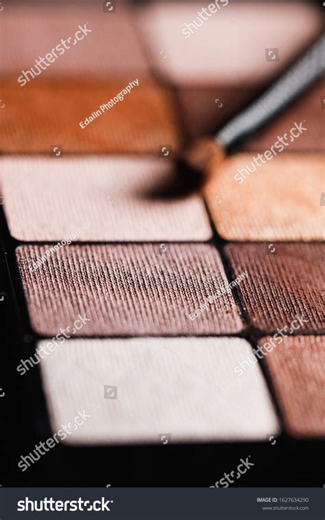 Set Nude Mineral Eyeshadow Palette Satin Stock Photo 1627634290
