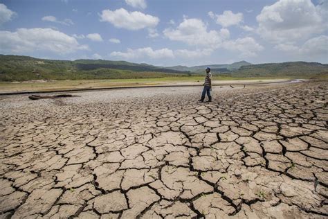 中米で深刻な干ばつ、農業に甚大な被害 写真2枚 国際ニュース：afpbb News