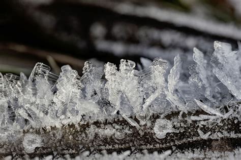 Der Schweizer Bauer Frost Frankreich Will Bauern Finanziell Helfen