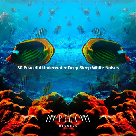 30 Peaceful Underwater Deep Sleep White Noises Album By Underwater