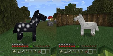 How To Breed Horses In Minecraft Vgkami